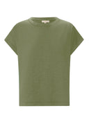 PP5870b-fern